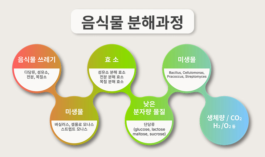 음식물 분해과정 도해 — 음식물쓰레기(다당류·섬유소·전분·목질소)가 효소와 미생물을 거쳐 저분자 물질(단당류)로 분해되고 최종적으로 생체량과 이산화탄소, 수소, 산소로 배출되는 과정